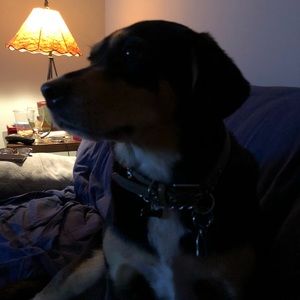 Meet your Posher, Rob